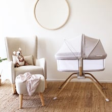 Babyhood Rocking Travel Bassinet